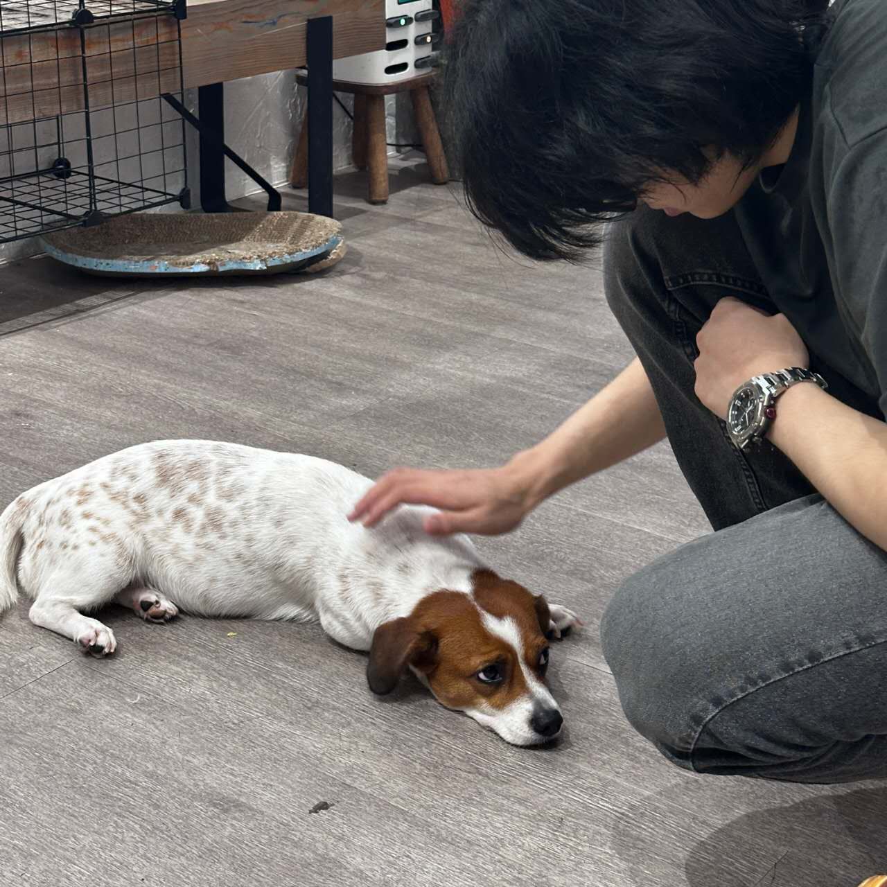 Photo of Haichang (Charles) Li